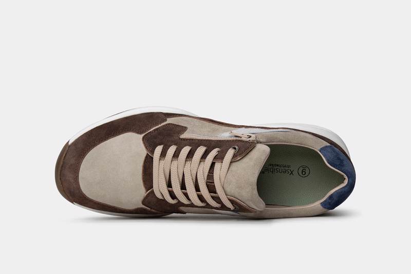 Xsensible SWX14 Bruin