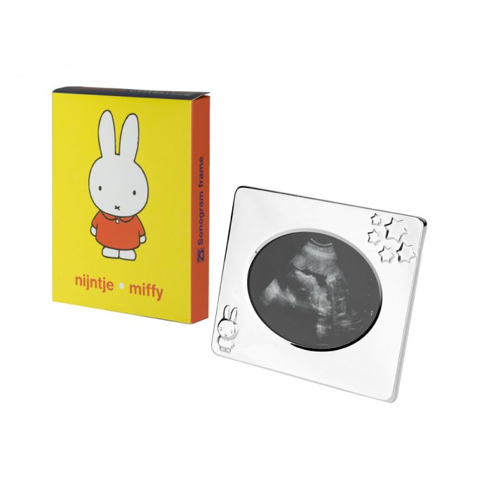 Zilverstad Echofotolijstje Nijntje Verzilverd Gelakt