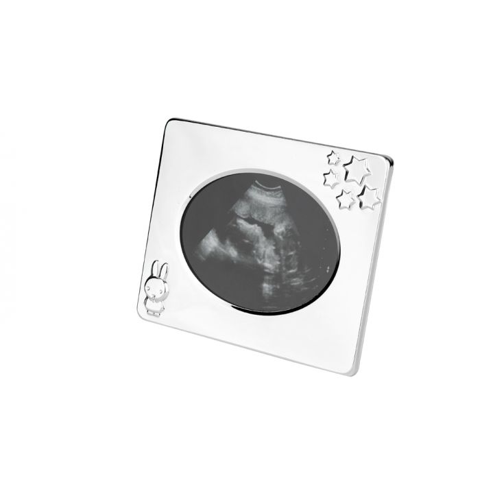 Zilverstad Echofotolijstje Nijntje Verzilverd Gelakt