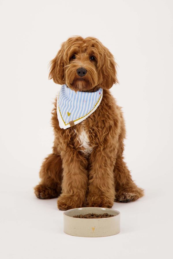 Zusss Bandana Bisous Gestreept Wit / Blauw