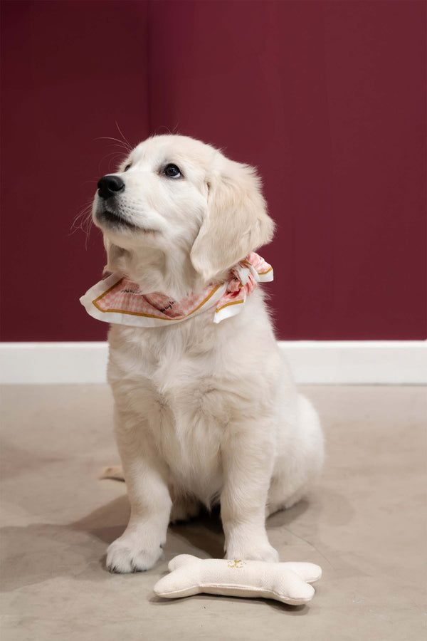 Zusss Hondenspeelgoed Bot Antracietgrijs / Warmgrijs